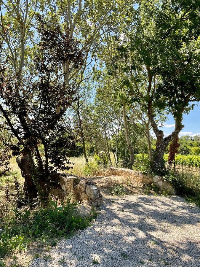 La Soleillade Aixoise Bed & Breakfast Aix-en-Provence Bagian luar foto
